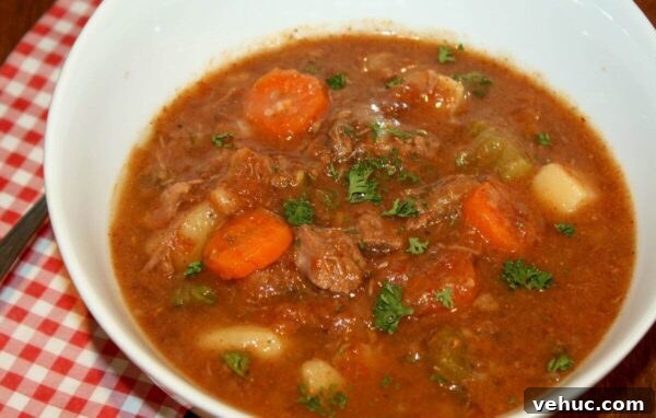 saucy bison stew a little carrots and potatoes and bison showing