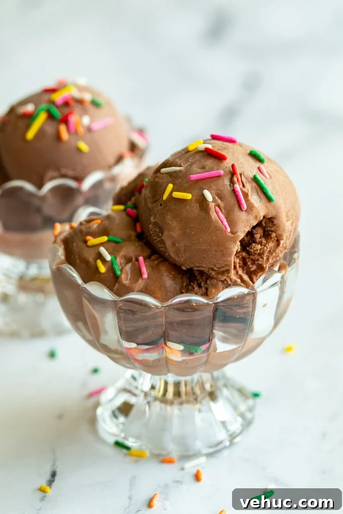 Ninja Creami Chocolate Ice Cream Recipe: Creamy Homemade Scoop 2 chocolate ice cream in a clear dish and topped with colorful sprinkles