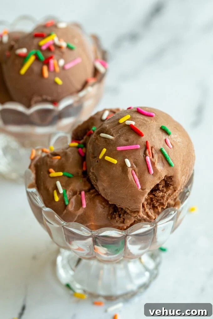 Ninja Creami Chocolate Ice Cream Recipe: Creamy Homemade Scoop 5 chocolate ice cream in a clear dish and topped with colorful sprinkles