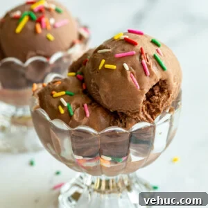 Ninja Creami Chocolate Ice Cream Recipe: Creamy Homemade Scoop 6 chocolate ice cream in a clear dish and topped with colorful sprinkles