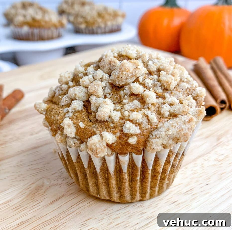 Pumpkin Muffins with Cinnamon Streusel Topping 2 Easy homemade pumpkin muffins with a sweet and crunchy streusel crumb topping.