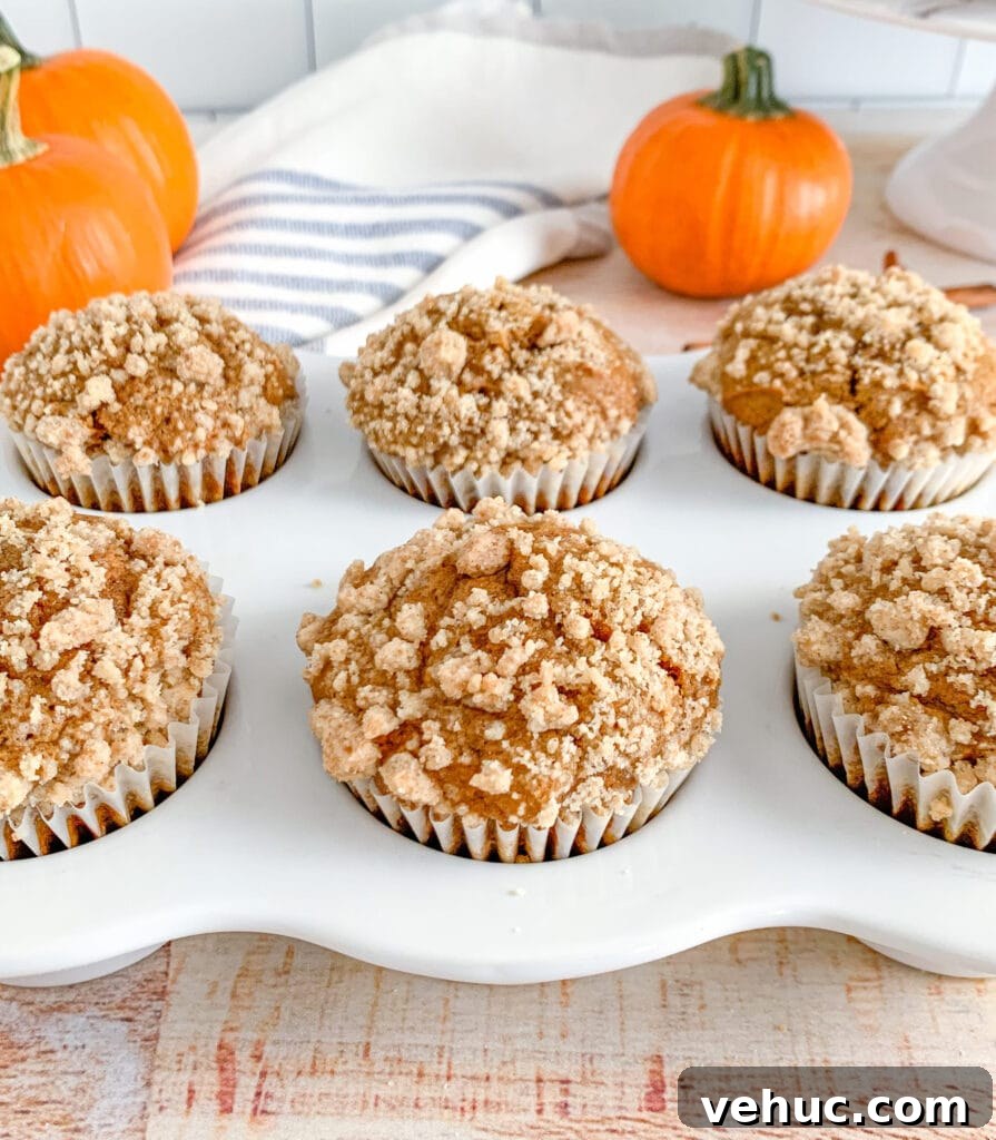 Pumpkin Muffins with Cinnamon Streusel Topping 3 Moist pumpkin spice muffins topped with a sweet crumb streusel