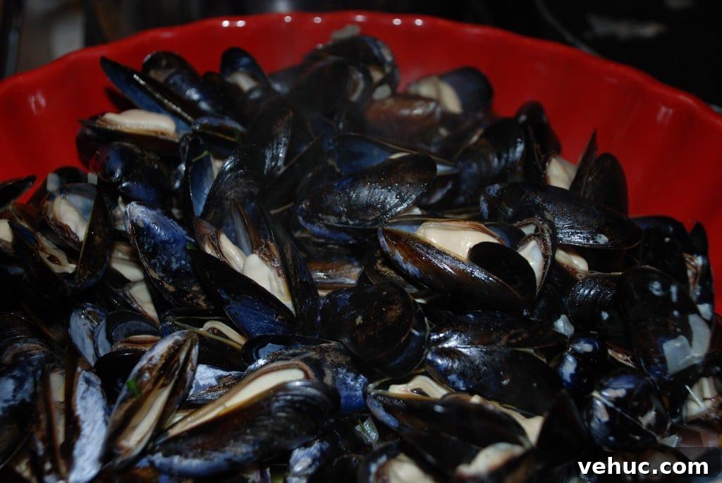 Classic Belgian Mussels (Moules) Recipe for Perfect Steaming 2 Belgium moules