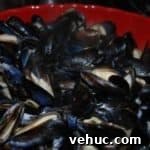 Classic Belgian Mussels (Moules) Recipe for Perfect Steaming 3 img 3115 2