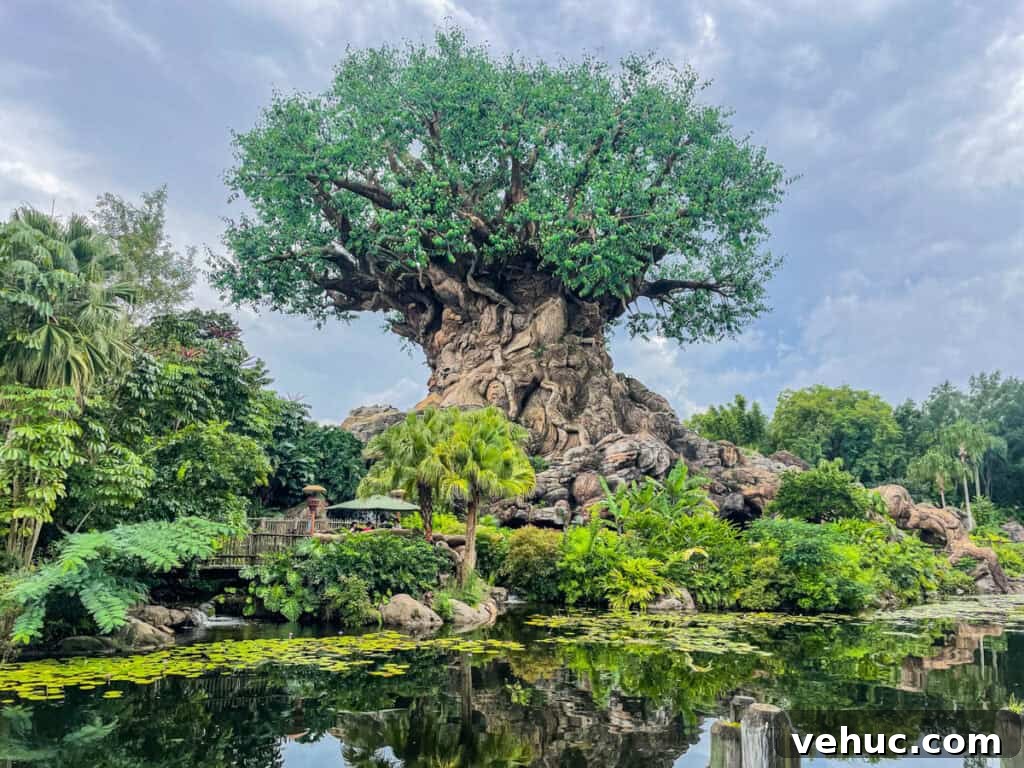 Top and Troubled Eats at Disney's Animal Kingdom: Restaurants Ranked 2 Tree of Life at Disney's Animal Kingdom.