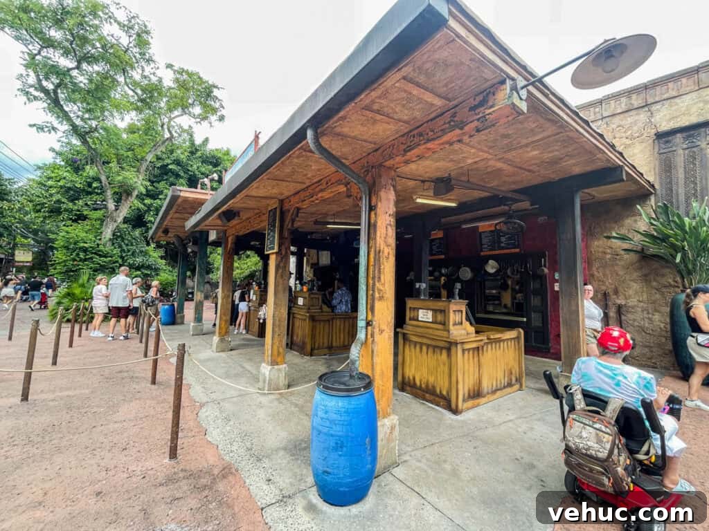 Top and Troubled Eats at Disney's Animal Kingdom: Restaurants Ranked 5 Yak and Yeti Local Food Cafe order and pickup window.