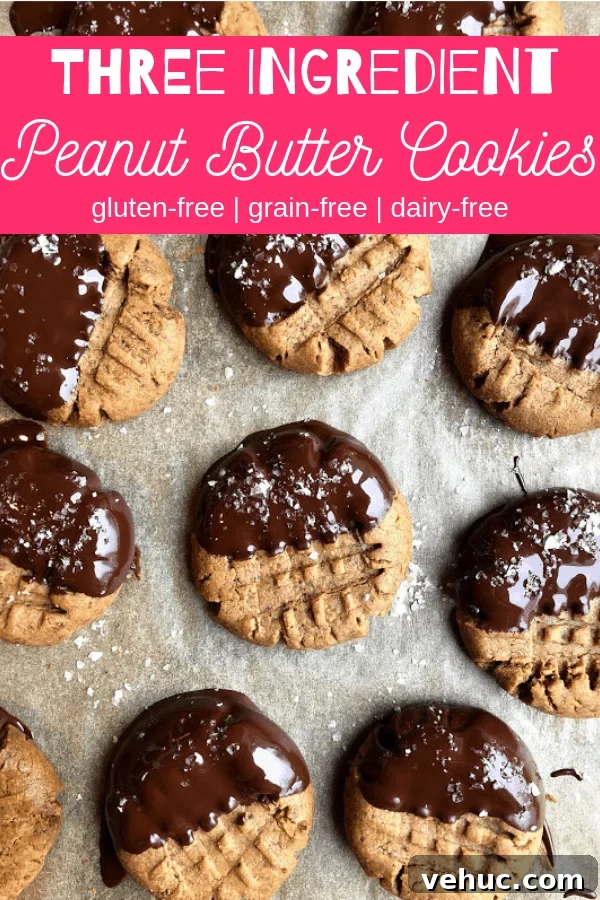 3-Ingredient Peanut Butter Cookies Recipe You’ll Love 8 three ingredient peanut butter cookies