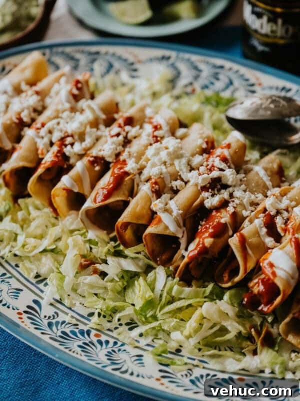 Authentic Cochinita Pibil Tacos Recipe — Yucatan Slow-Roasted Pork 10 Crispy homemade chicken flautas served on a bed of shredded lettuce in a blue and white hand-painted dish, topped with red chile sauce, a drizzle of Mexican crema, and crumbled queso fresco – a delicious take on a classic chicken flautas recipe.