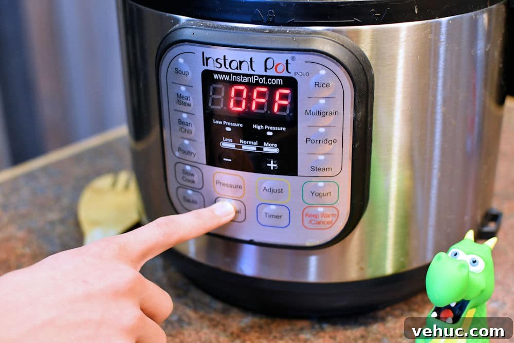 Instant Pot Mexican Picadillo Recipe (Gluten-Free) 8 Close up of Instant Pot with Christian Guzman