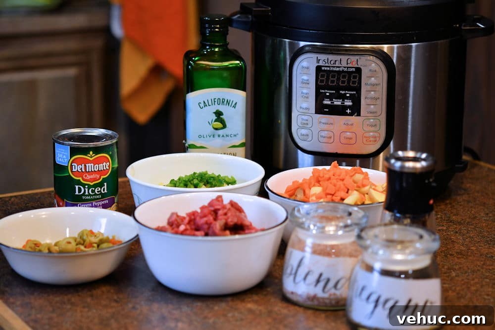Instant Pot Mexican Picadillo Recipe (Gluten-Free) 6 ingredients on counter for Mexican picadillo