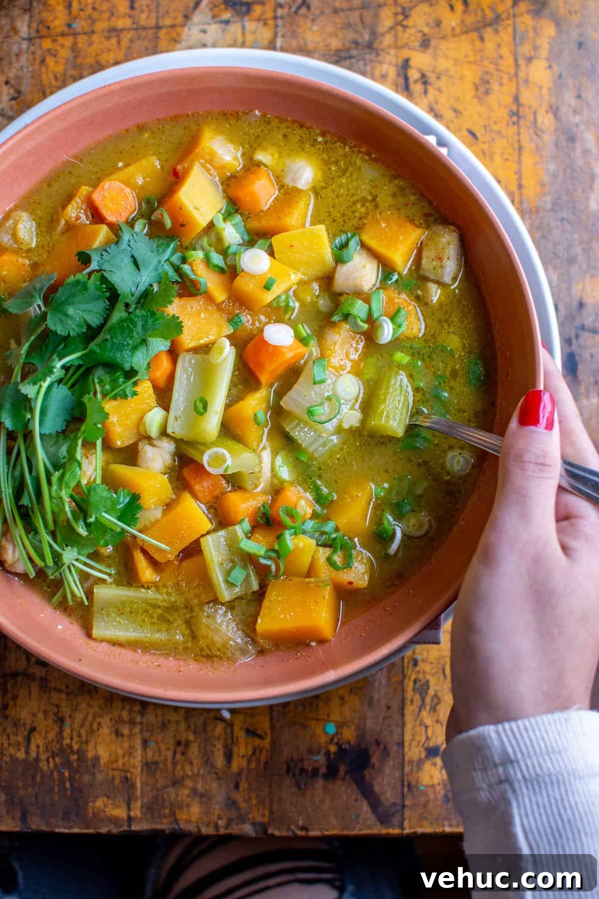 Tangy Chicken and Tomatillo Stew Recipe for Weeknight Dinners 2 A brown bowl filled with chicken tomatillo stew. A woman's hands with red nail polish is holding a spoon and the spoon is in the bowl.