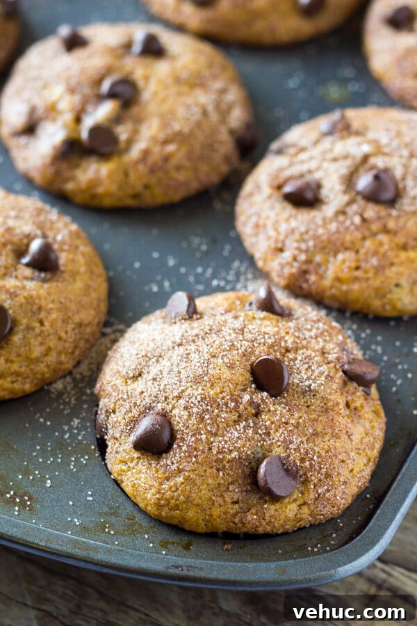 Pumpkin Chocolate Chip Muffins Recipe for Moist Fall Baking 2 Filled with cinnamon, nutmeg, vanilla, a healthy dose of pumpkin and chocolate chips - these super moist Pumpkin Chocolate Chip Muffins are a must for your fall baking!