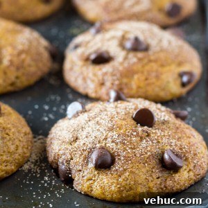 Filled with cinnamon, nutmeg, vanilla, a healthy dose of pumpkin and chocolate chips - these super moist Pumpkin Chocolate Chip Muffins are a must for your fall baking!