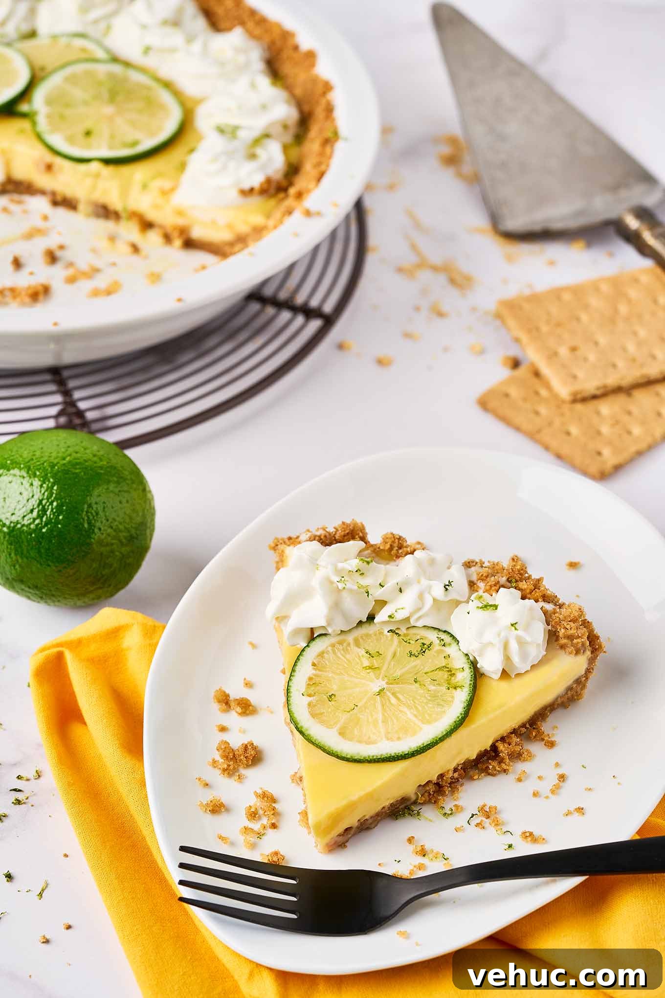 Authentic Florida Key Lime Pie Recipe You’ll Love 7 Slice of Florida Key lime pie with graham cracker crust, topped with whipped cream and lime slice on a white plate.