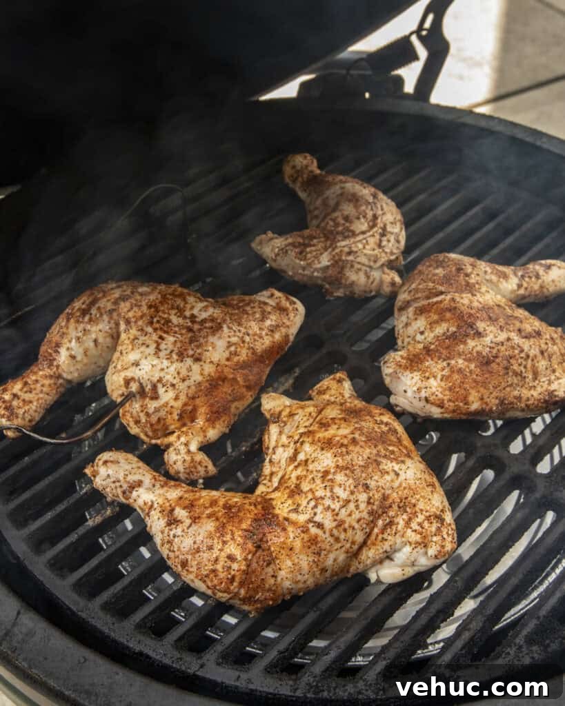 Crispy Juicy Grilled BBQ Chicken Leg Quarters for Summer Cookouts 8 img 3629 7