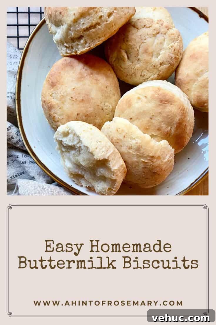 Homemade Buttermilk Biscuits Recipe for Flaky, Tender Biscuits 14 Easy Homemade Buttermilk Biscuits
