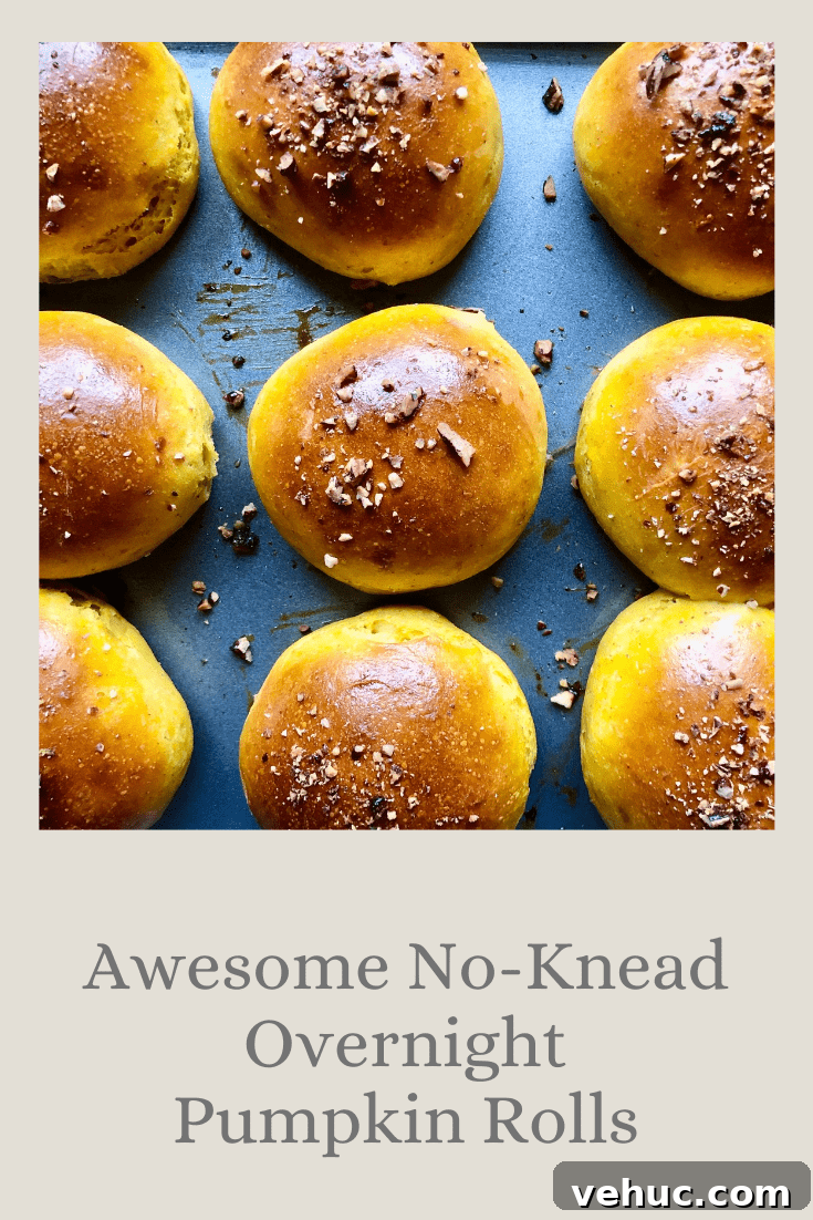 Homemade Buttermilk Biscuits Recipe for Flaky, Tender Biscuits 16 Awesome No-Knead Overnight Pumpkin Rolls