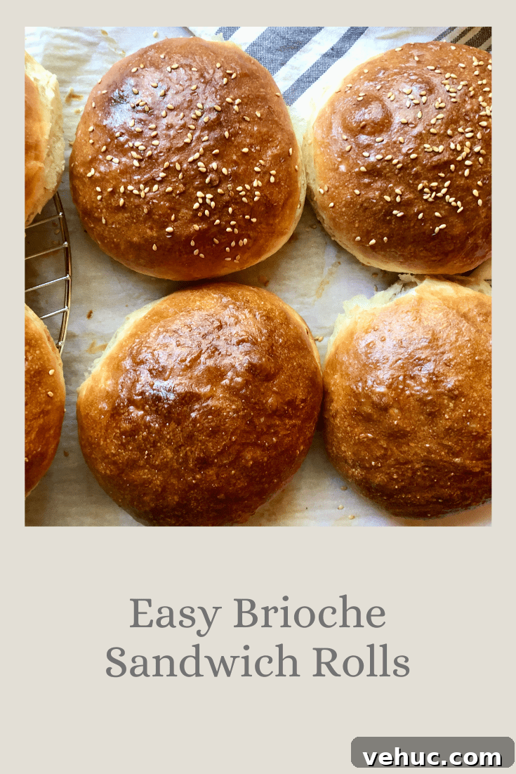 Homemade Buttermilk Biscuits Recipe for Flaky, Tender Biscuits 17 Easy Brioche Sandwich Rolls
