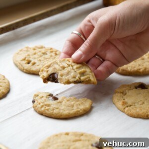 Chewy Peanut Butter Chocolate Chip Cookies Recipe 2 Hand breaking apart a peanut butter chocolate chip cookie