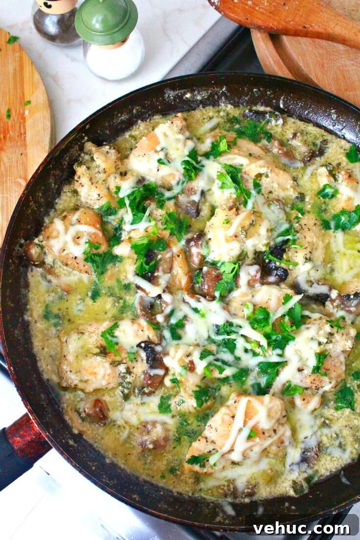 40+ 30-Minute Family Meals for Busy Weeknights 23 img 41061 22