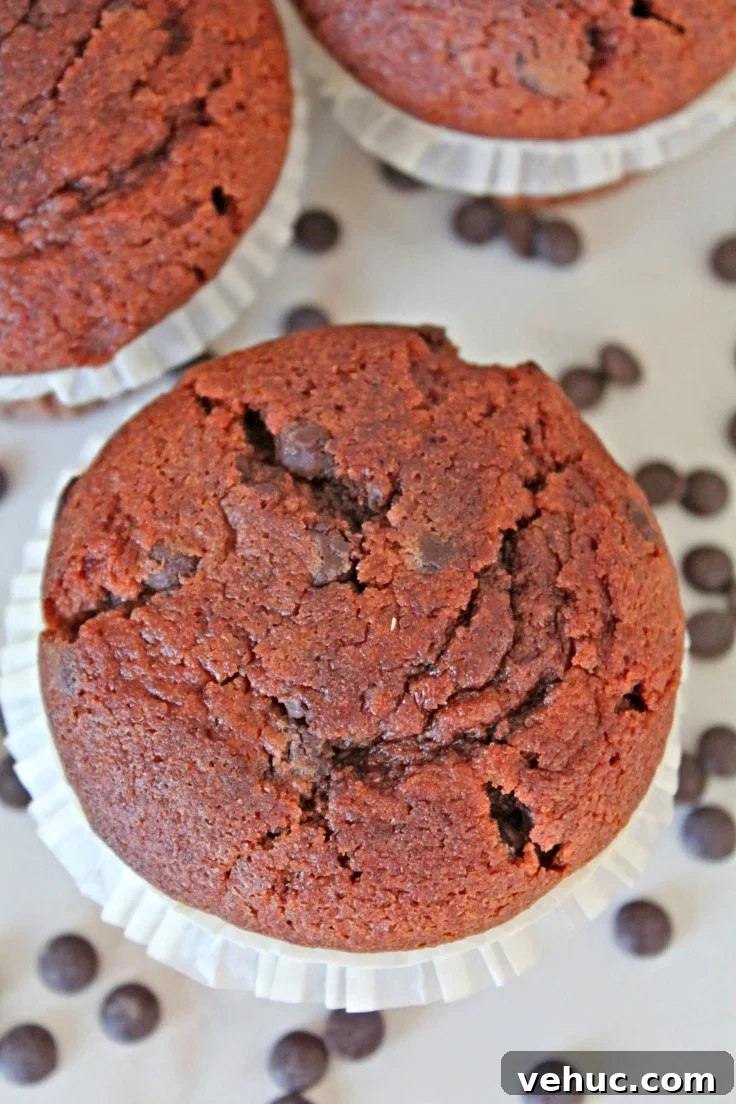 40+ 30-Minute Family Meals for Busy Weeknights 39 Easy chocolate muffins