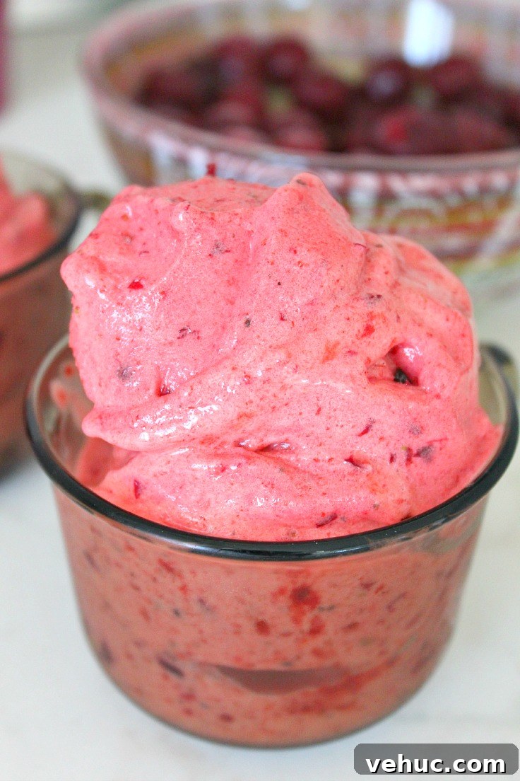 40+ 30-Minute Family Meals for Busy Weeknights 43 img 41061 42