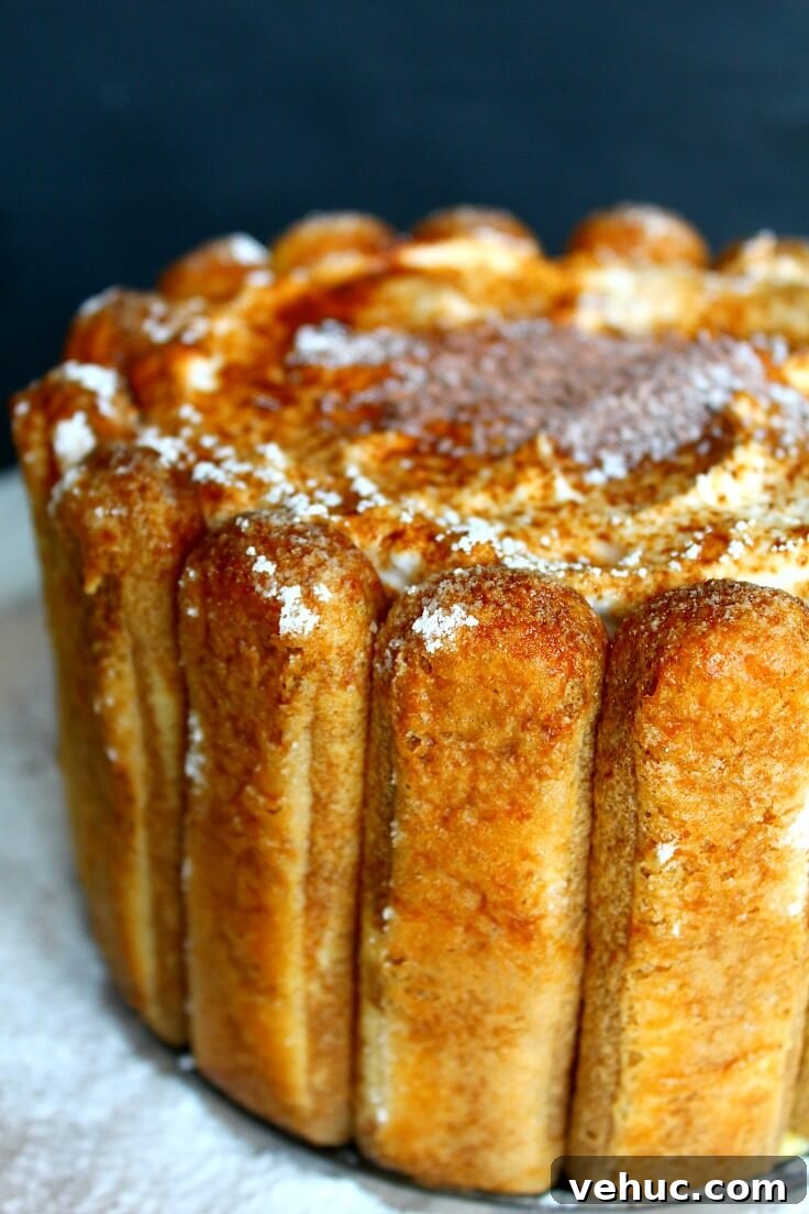 40+ 30-Minute Family Meals for Busy Weeknights 45 Vanilla Tiramisu Recipe