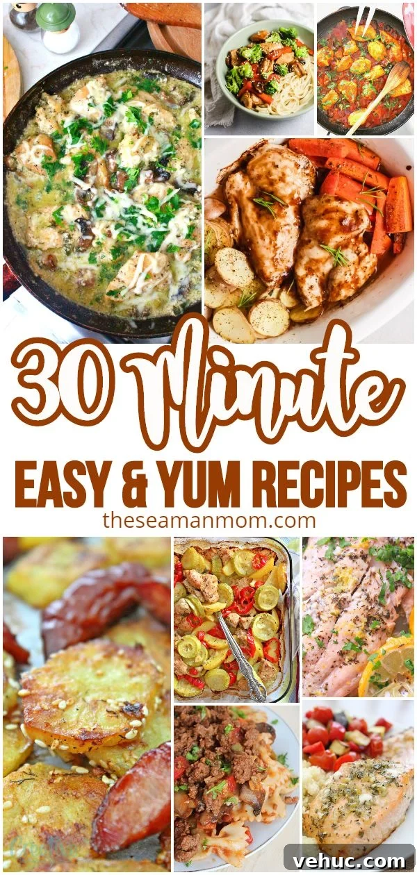 40+ 30-Minute Family Meals for Busy Weeknights 46 Easy 30 minute meals