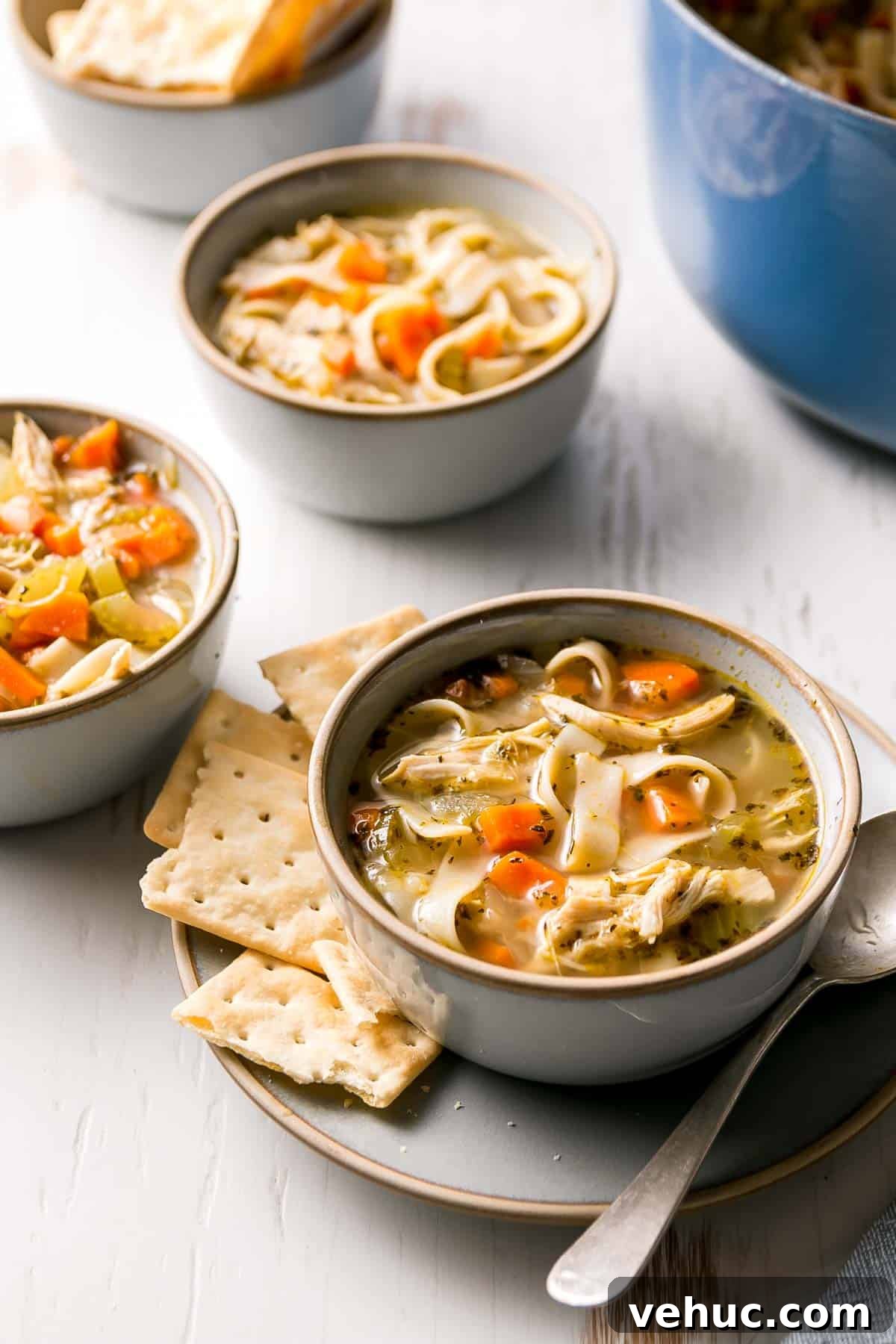 Gluten-Free Chicken Noodle Soup Recipe for Comforting Flavor 2 Bowls of gluten free chicken noodle soup with crackers next to blue pot.