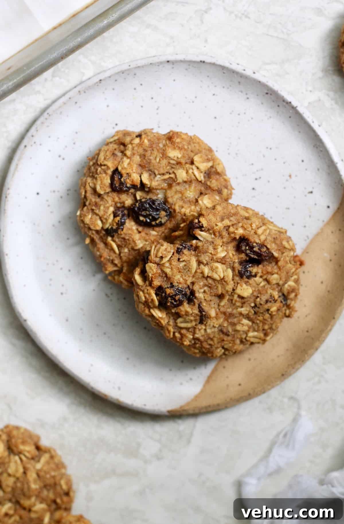 Banana Oatmeal Raisin Cookies (No Added Sugar) 2 plate of two cookies