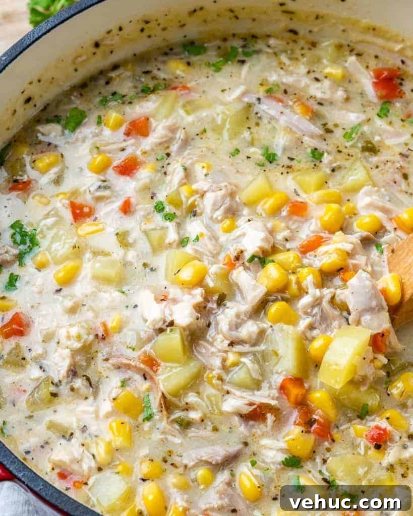 Creamy Chicken and Corn Chowder Recipe for Comforting Meals 10 Close view of spoon lifting corn chowder out of pot.