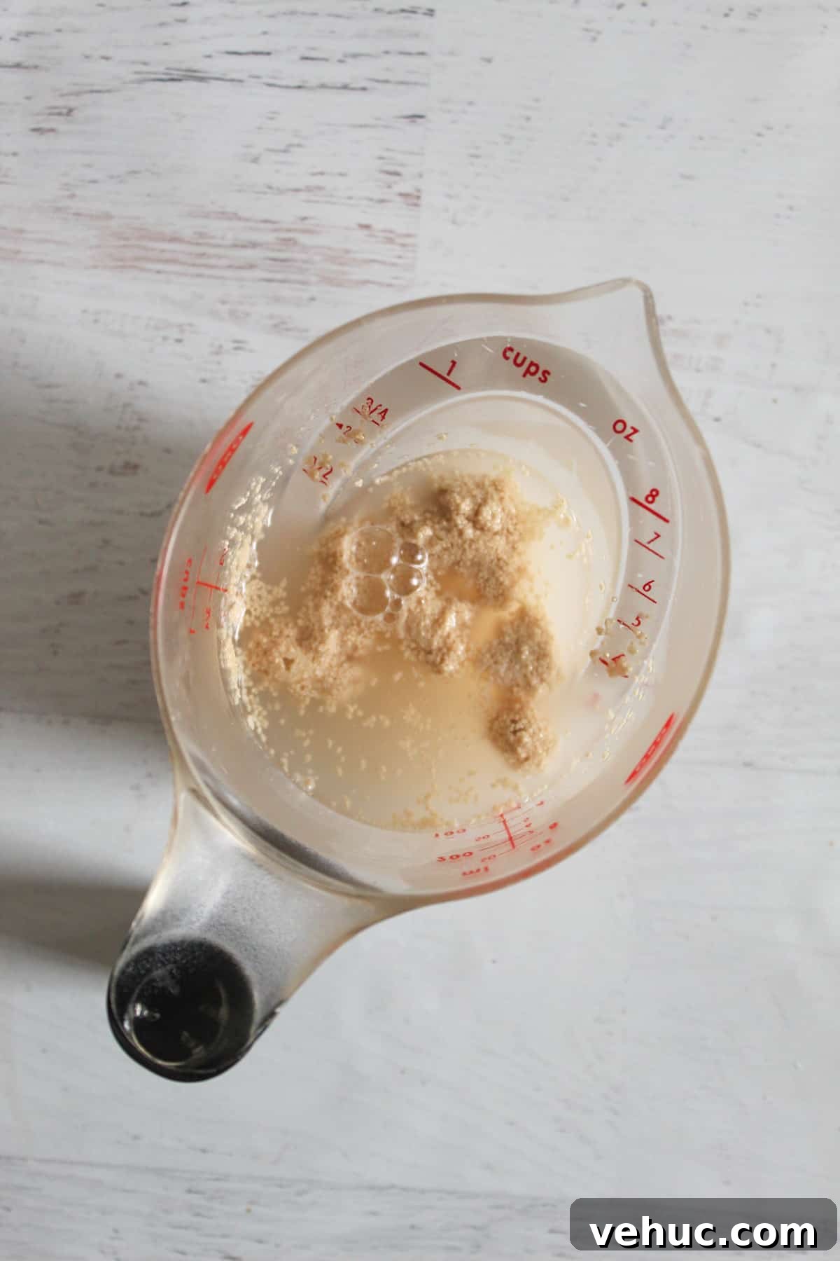 Gluten-Free Oat Bread Recipe with Vegan Option 9 proofing yeast