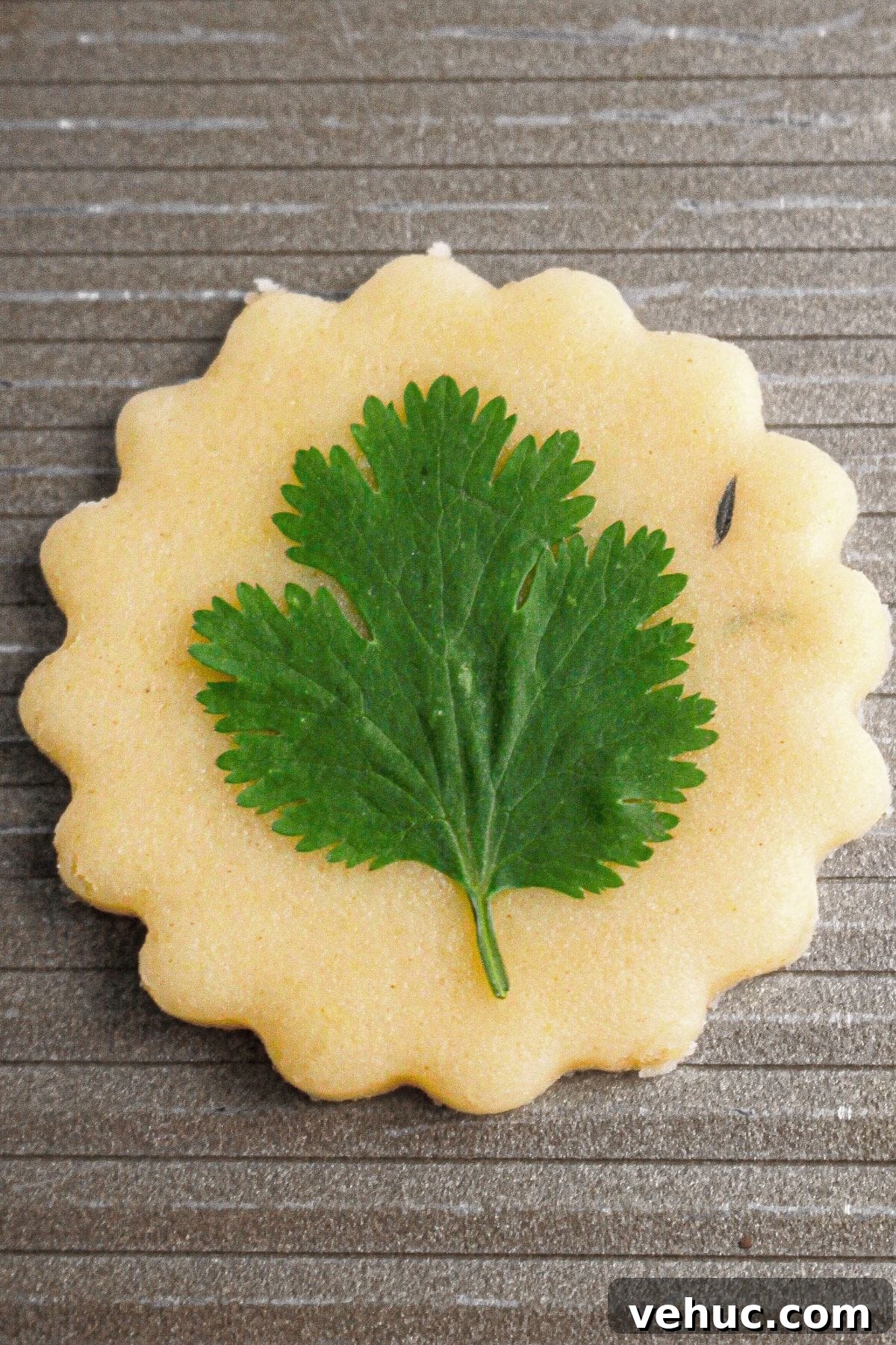 Savory Gluten-Free Parmesan Cookies Recipe 11 Herb-decorated cookies ready to bake