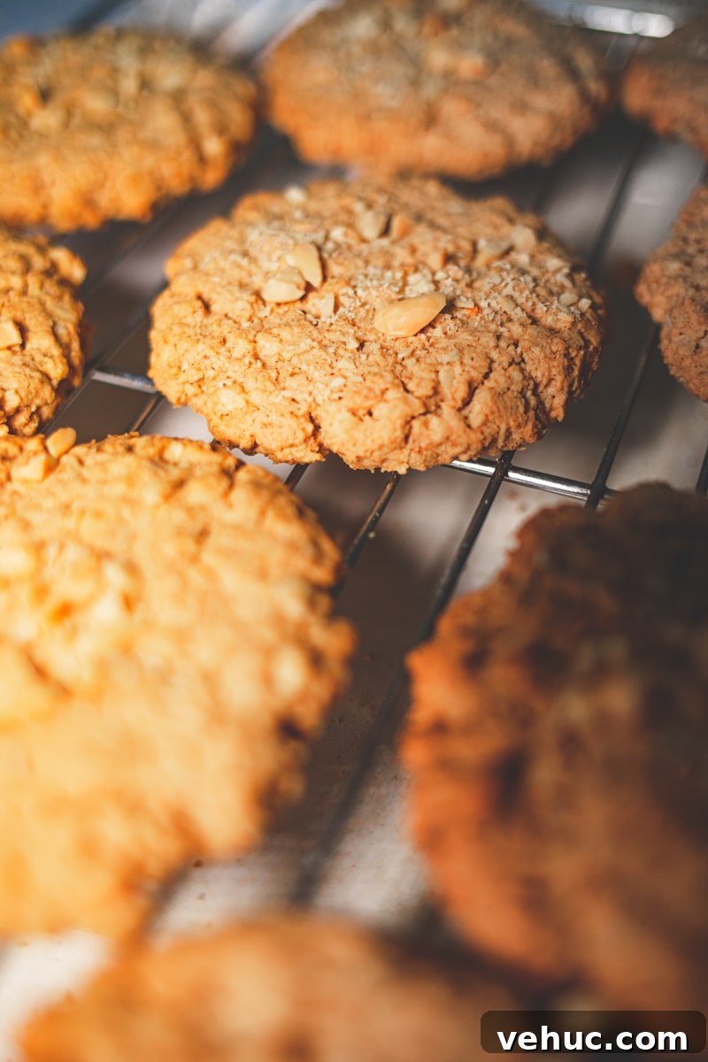 Crunchy Salted Peanut Cookies Recipe: Crispy Homemade Treats 3 Salted Peanut Cookies Cooling on a Tray - Georgie Eats