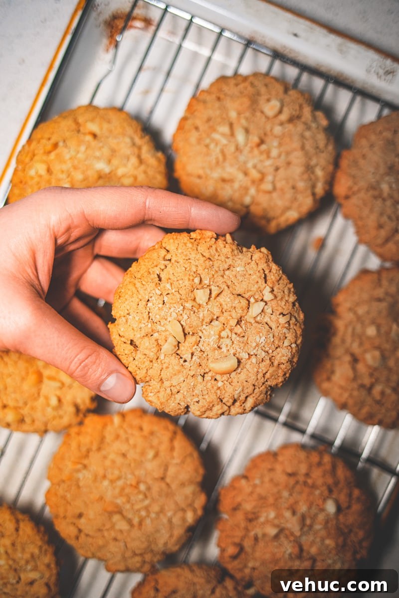 Crunchy Salted Peanut Cookies Recipe: Crispy Homemade Treats 4 Salted Peanut Cookies Cooling on a Tray - Georgie Eats