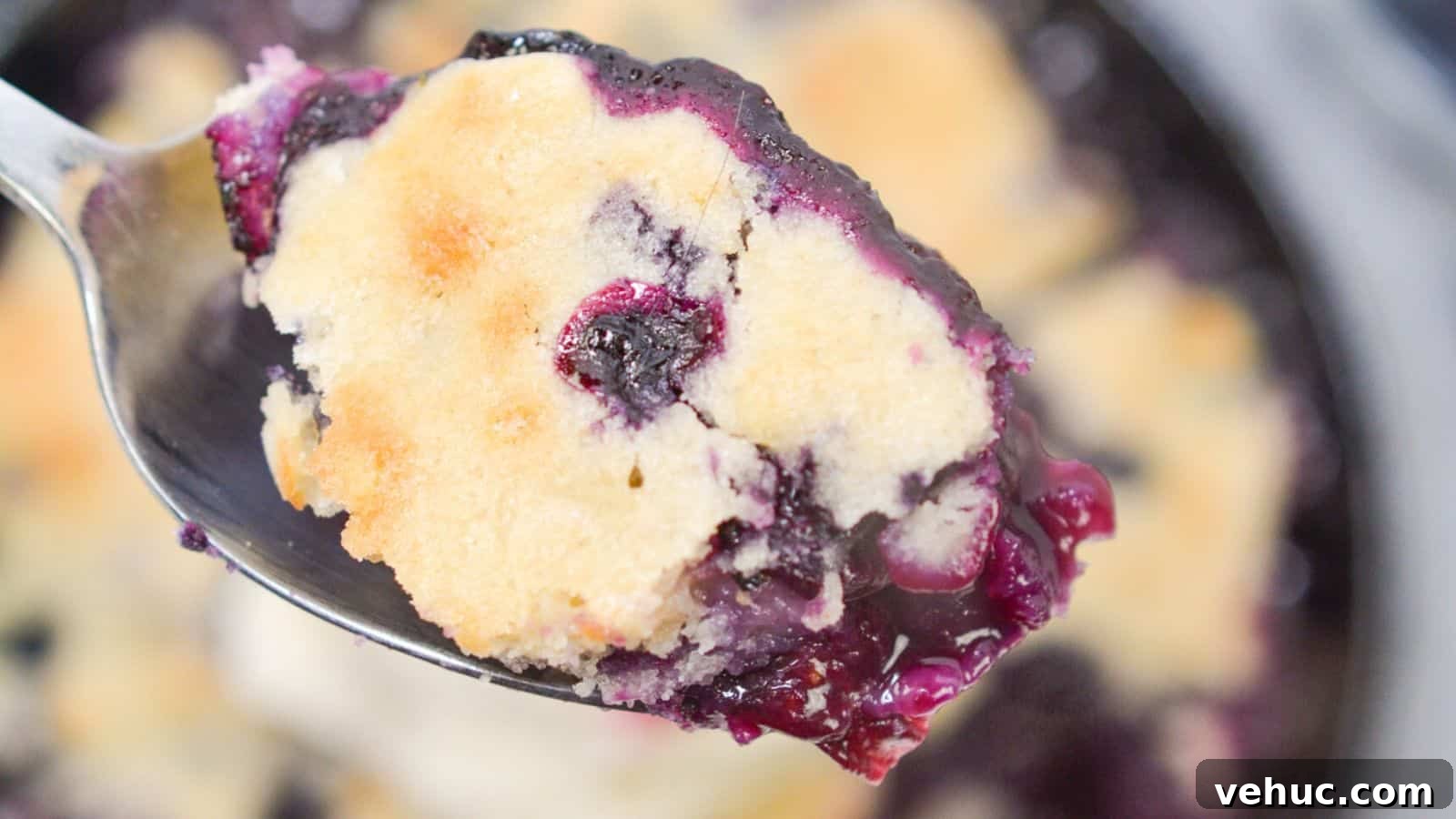 A spoon with blueberry cobbler with rest of cobbler in background.