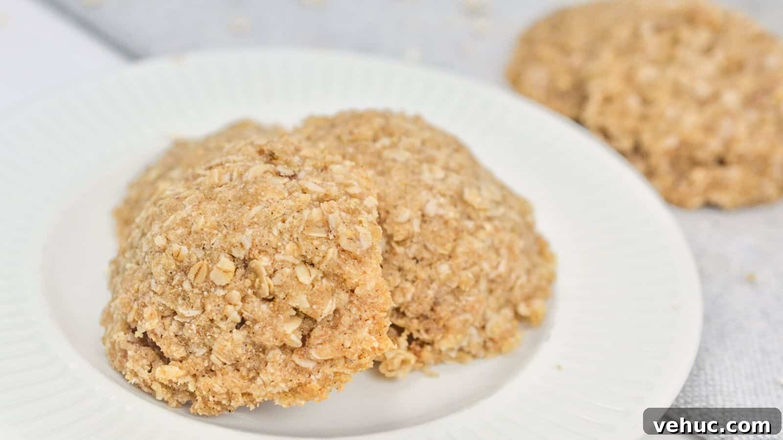 Two oatmeal cookies on a white plate, featuring a crumbly texture and visible oat flakes, set against a soft-focused gray background.