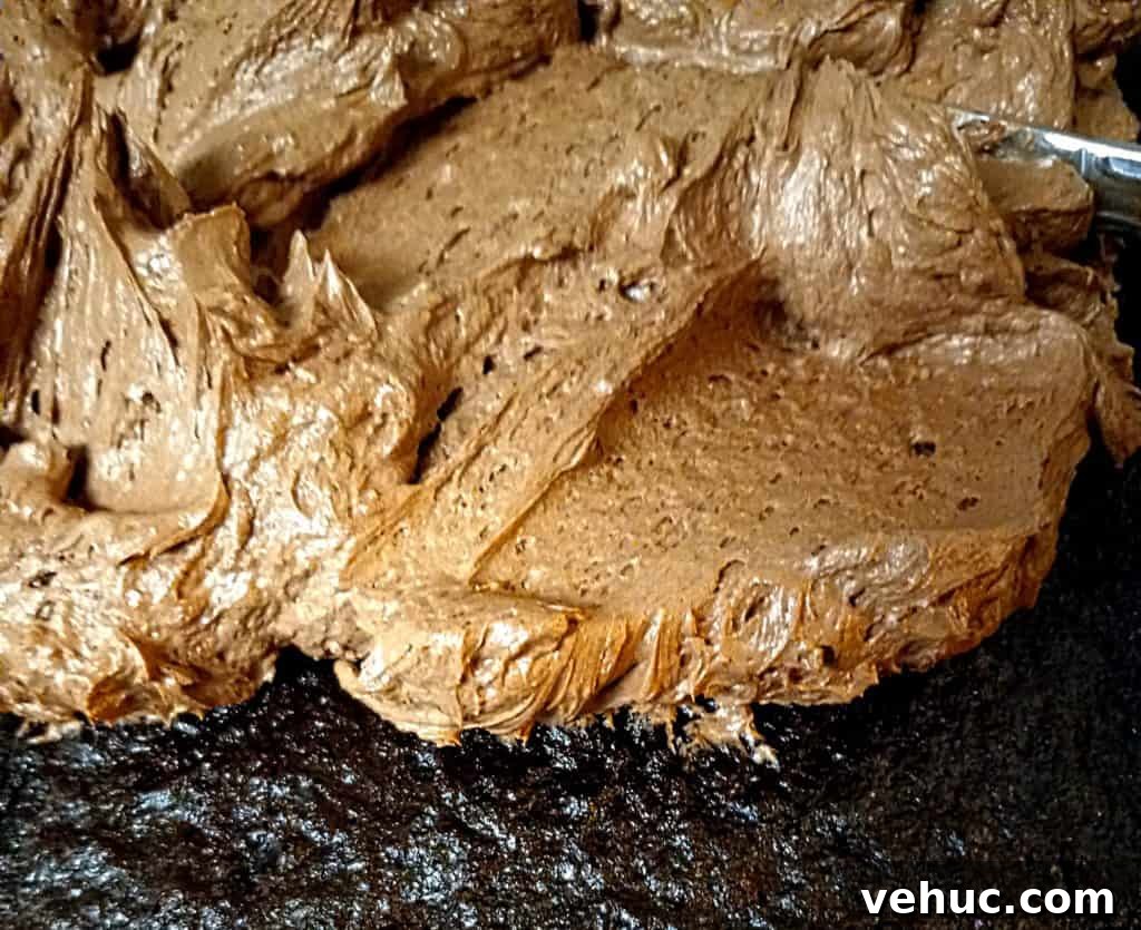 chocolate frosting on cake