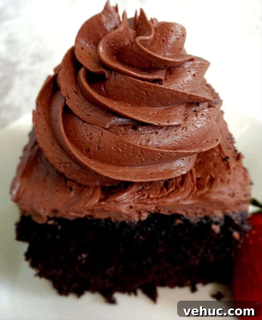 whipped chocolate frosting on top of a slice of cake.
