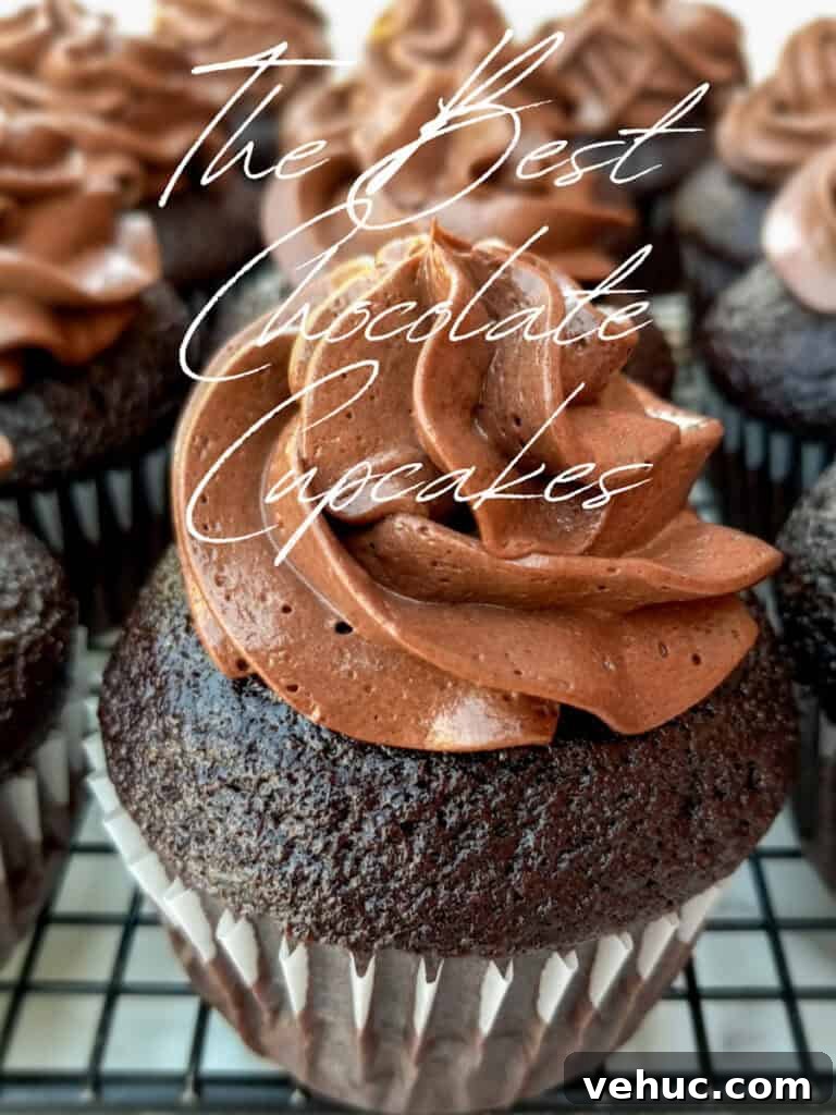 chocolate cupcakes topped with chocolate buttercream.