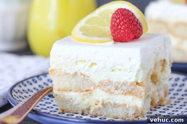 9 Refreshing No-Bake Summer Desserts to Beat the Heat 3 img 6003 2