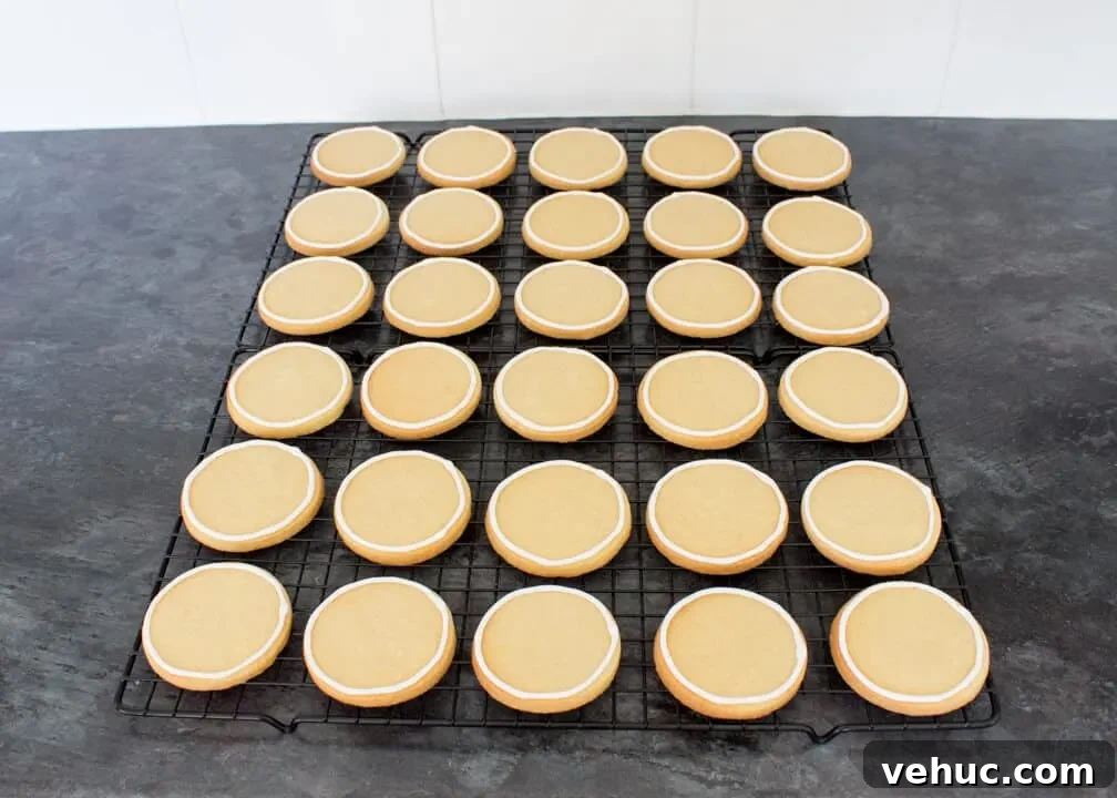 Blood-Spattered Halloween Cookie Ideas for a Spooky Party 10 Cookies on cooling racks on a kitchen worktop that have white royal icing piped round the edges.