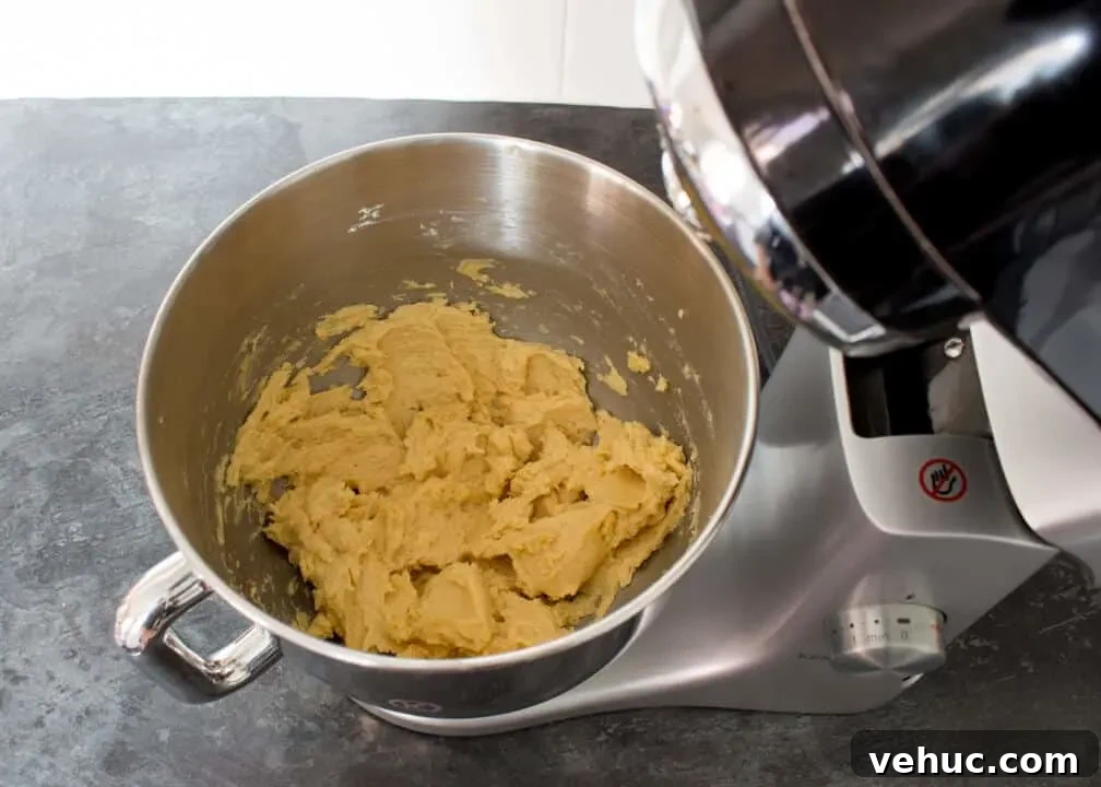Blood-Spattered Halloween Cookie Ideas for a Spooky Party 15 Butter, sugar, vanilla and egg creamed together in an electric stand mixer on a kitchen worktop.