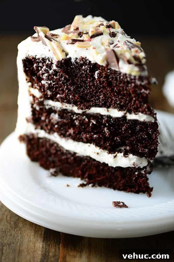 Decadent Peppermint Chocolate Cake Recipe for the Holidays 2 Slice of Peppermint Chocolate Cake on white plate.