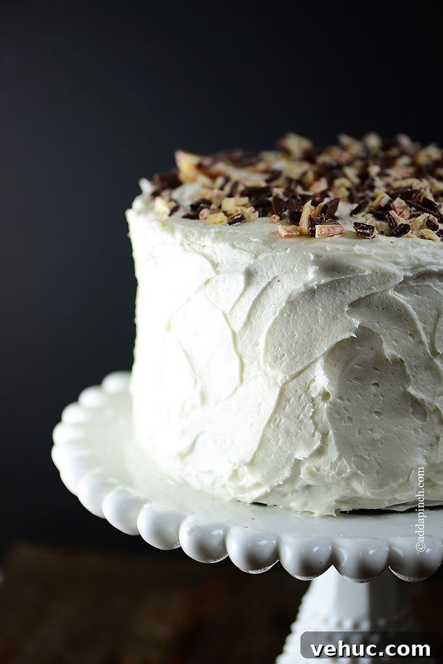 Decadent Peppermint Chocolate Cake Recipe for the Holidays 4 Side view of cake topped with peppermint bark on white antique cake stand.