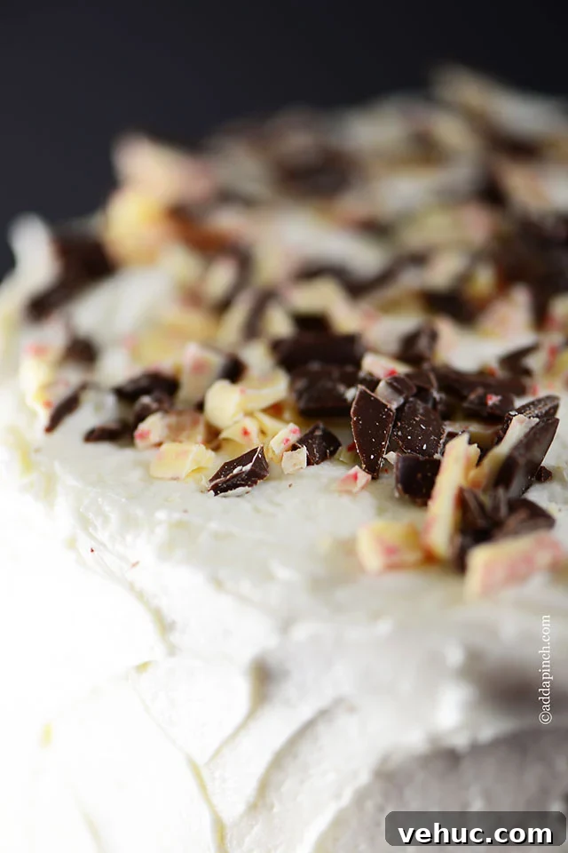 Decadent Peppermint Chocolate Cake Recipe for the Holidays 5 Closeup view of top of cake with crushed peppermint bark.