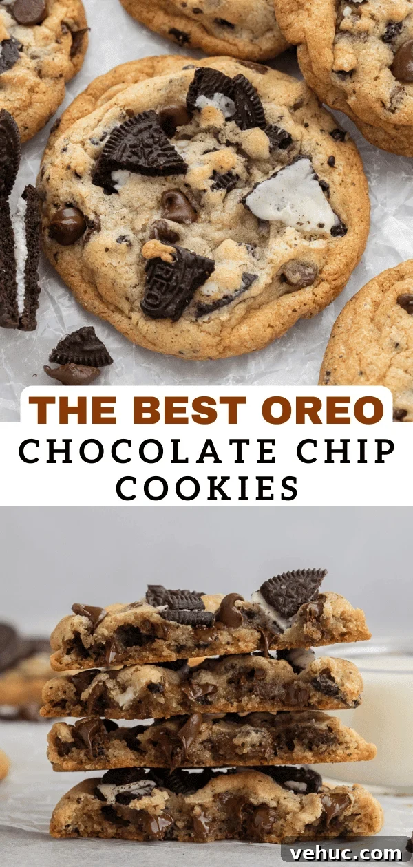 Oreo chocolate chip cookies 