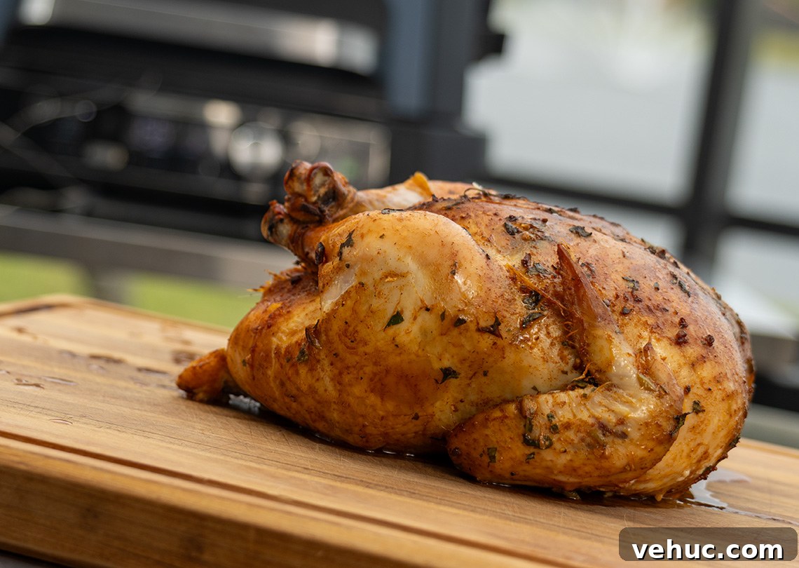 Ninja Woodfire Moroccan Chicken Recipe — Smoky Spiced Roast 2 Woodfire Moroccan Chicken