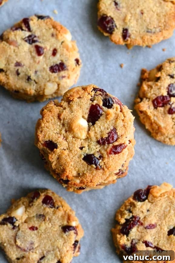 Paleo Macadamia and Cranberry Cookies with Almond Flour 3 Gluten free, sugar free and dairy free paleo cookies with dried cranberries and macadamias arranged on a baking tray (paleo cookies recipe)