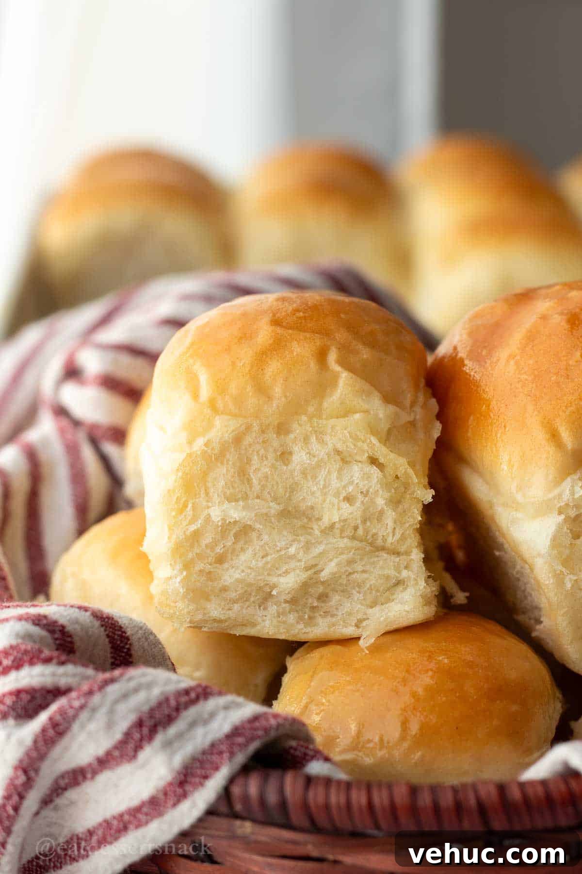 Classic Old-Fashioned Yeast Rolls Recipe 2 img 7442 1